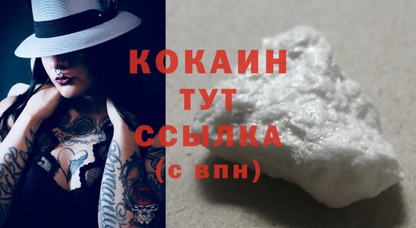 дмт Мегион