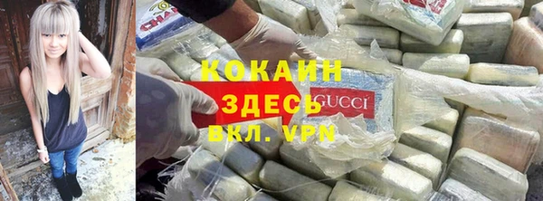 дмт Мегион