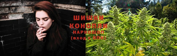 дмт Мегион