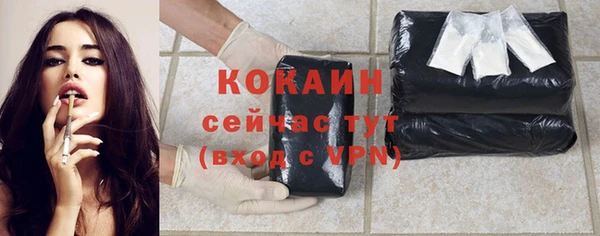 дмт Мегион