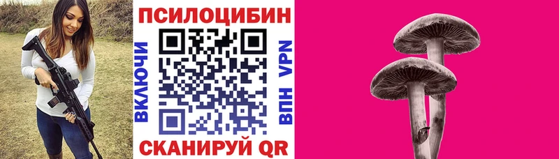 Псилоцибиновые грибы прущие грибы darknet Telegram Нюрба